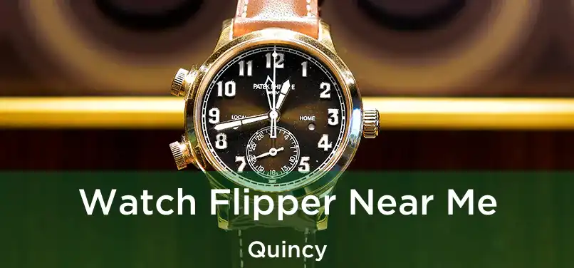 Watch Flipper Near Me Quincy